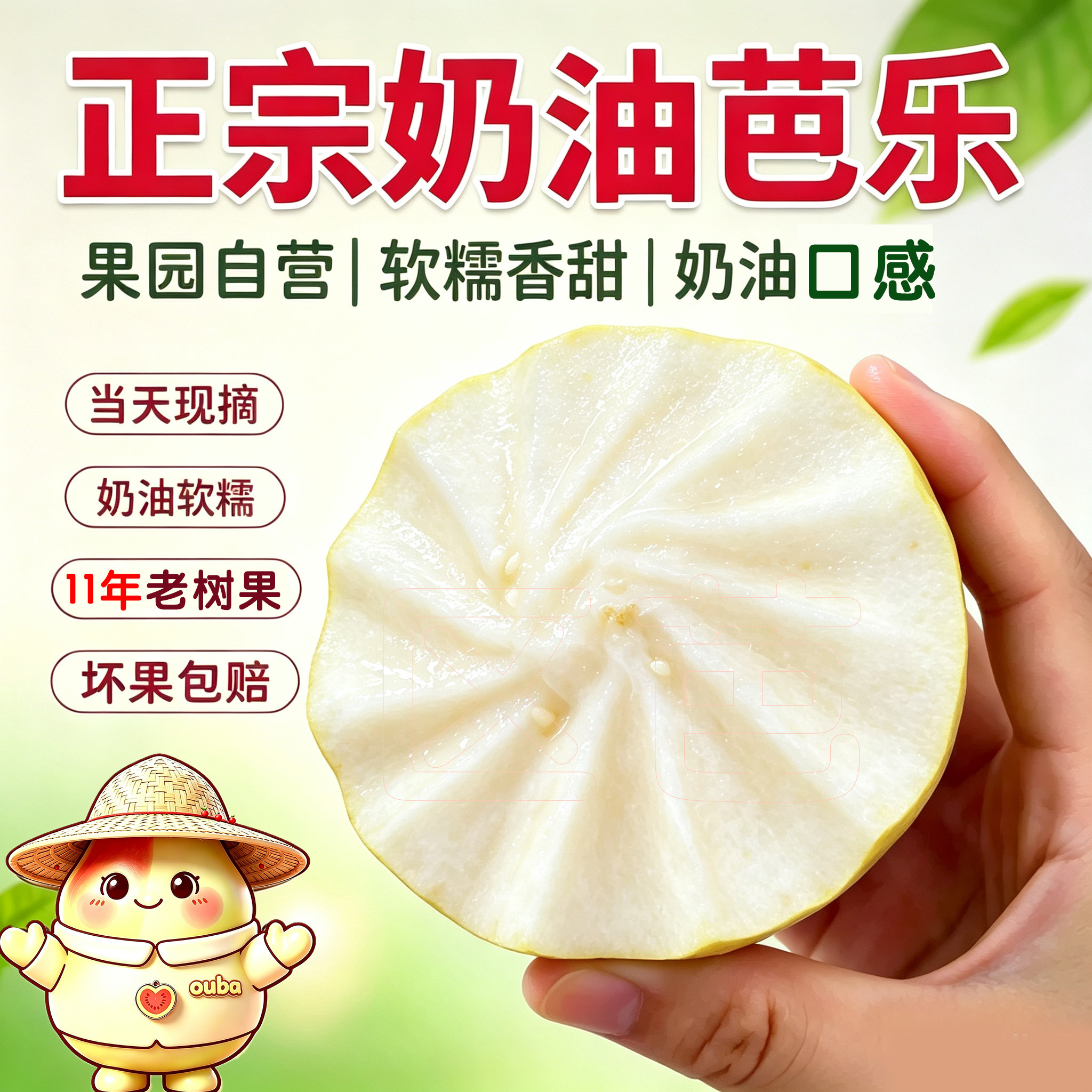 正宗广西白心奶油芭乐5斤