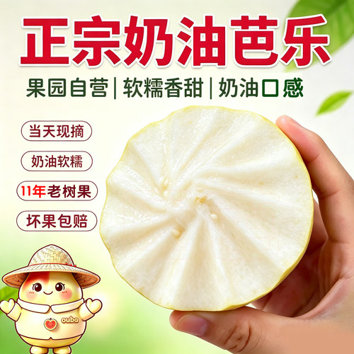 正宗广西白心奶油芭乐5斤
