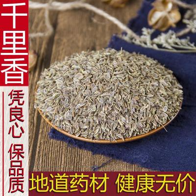 千里香子500克包邮七里香九里香千里香粉莳萝籽卤料香料调味品