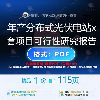 年产分布式光伏电站x套项目可行性研究报告CT报告项目研究__PROT