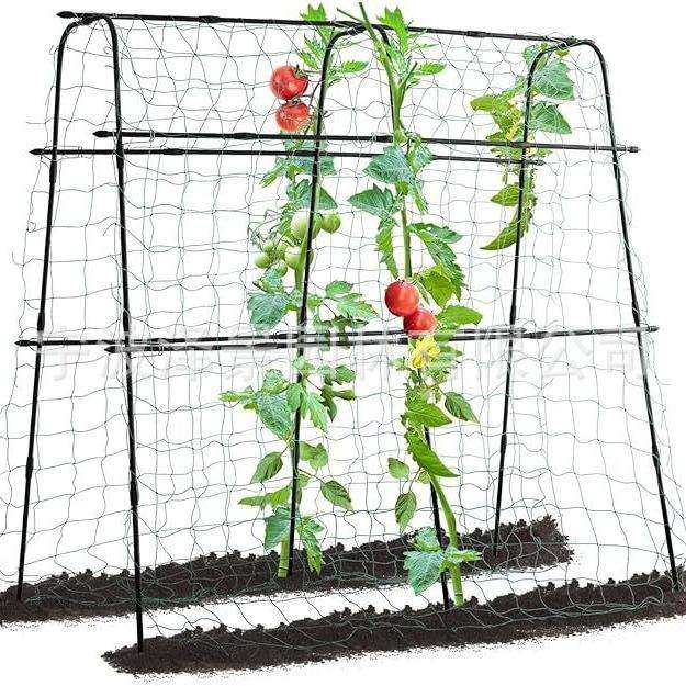 庭院户外包塑钢管园艺支柱支撑杆植物爬藤黄瓜西红柿攀爬架爬藤架