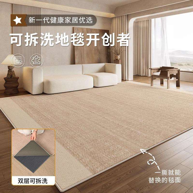 可机洗地毯新款客厅双层可拆洗水洗纯色沙发卧室雪尼尔家用地垫
