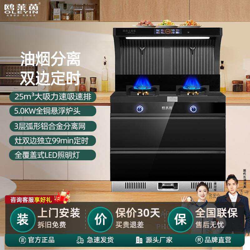 集成灶家用蒸烤一体直销烟灶联动定时语音控制家用一体灶