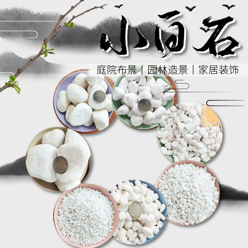 白色鹅卵石汉白玉砾石雪花白园艺盆栽庭院家装铺面景观美化造景石