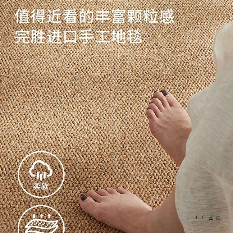 防水地毯客厅免打理免洗可擦沙发卧室床边飘窗猫抓板入户地垫拍照