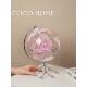 COCO 送朋友乔迁闺蜜生日礼物透明粉色地球仪轻奢玄关摆件地球仪
