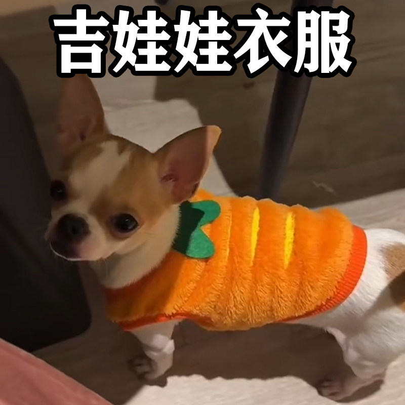 吉娃娃衣服超小体狗狗秋冬天加厚保暖防脏小型犬幼犬服饰茶杯犬用