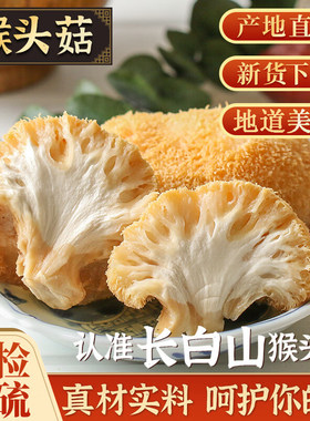 猴头菇干货精选无硫500克