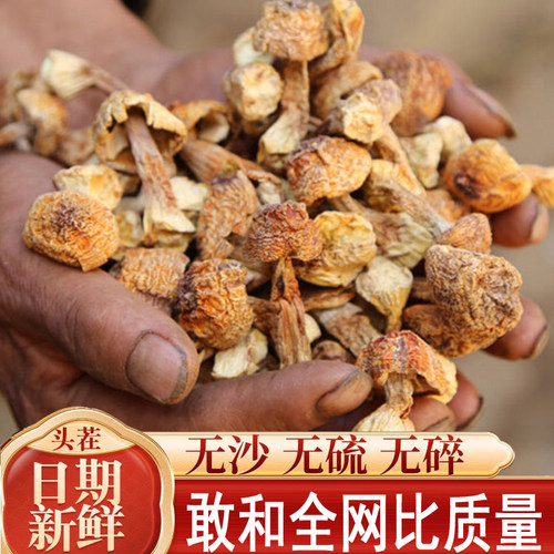 姬松茸干货云南野生食用菌类蘑菇