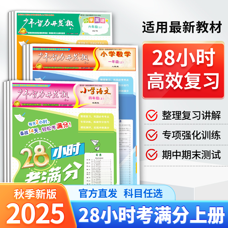 小学教辅小学教辅少年智力开发报