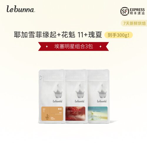 100%埃塞俄比亚咖啡豆