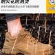 透气轻便防臭工地老保带钢板钢头焊工 士防砸防刺穿夏季 劳保鞋 男款