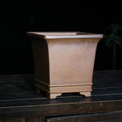 玲珑岁贡 柴烧四方高兰花盆老味细叶兰君子寒春建绿云翠盖荷蝴蝶