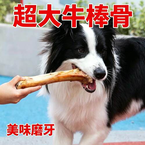 狗狗零食骨头宠物磨牙棒大小型幼犬补钙耐咬洁齿训练奖励牛棒骨c