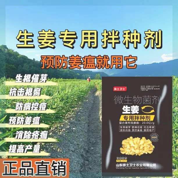 生姜专用拌种剂快速催芽生根生物菌剂以菌治菌预防病害死棵姜瘟病