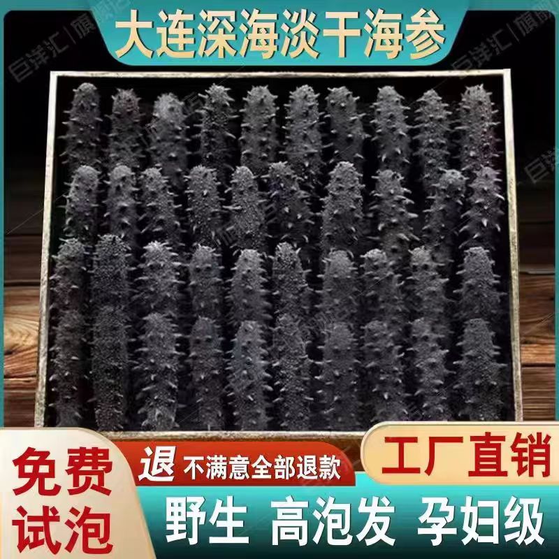 【深海野生】深海底播淡干海参 可试泡两头