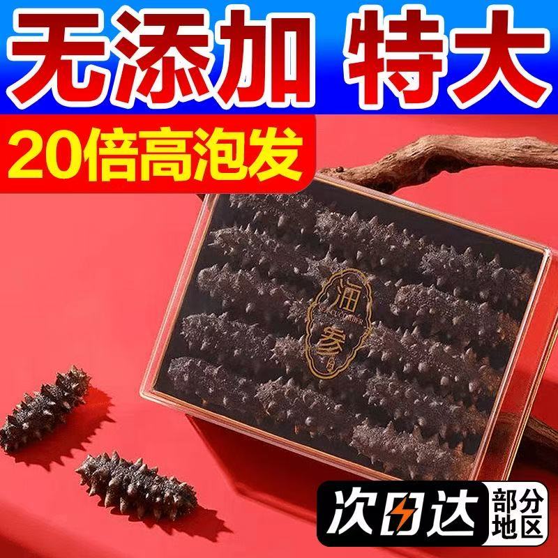 海参干货大连纯野生海参辽参纯淡干刺参深海辽刺参礼盒非即食包邮