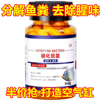 硝化细菌鱼缸用专用胶囊净水颗粒