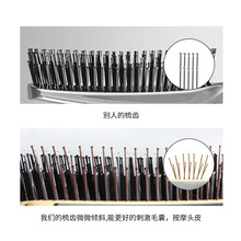 宙斯同款梳头部经络按摩梳头皮清洁护理梳子干湿两用美发梳子