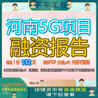 河南5G项目融资报告132页 项目报告资料河南文档优质可复制文档
