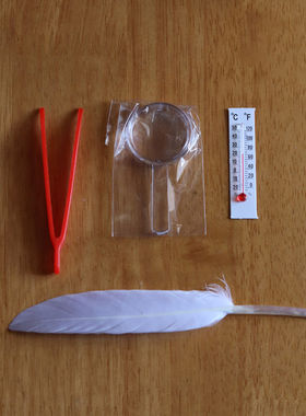 蚕宝宝学生养蚕套装豪华太空舱放大镜蚕夹羽毛专用结茧网养蚕工具