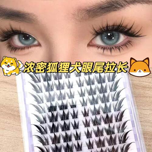 免胶卷翘单簇分段式眼睫毛