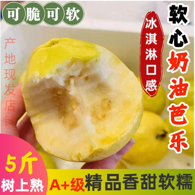 广西奶油芭乐软糯新鲜现摘白心番石榴5斤软心鸡屎果巴乐水果包邮3