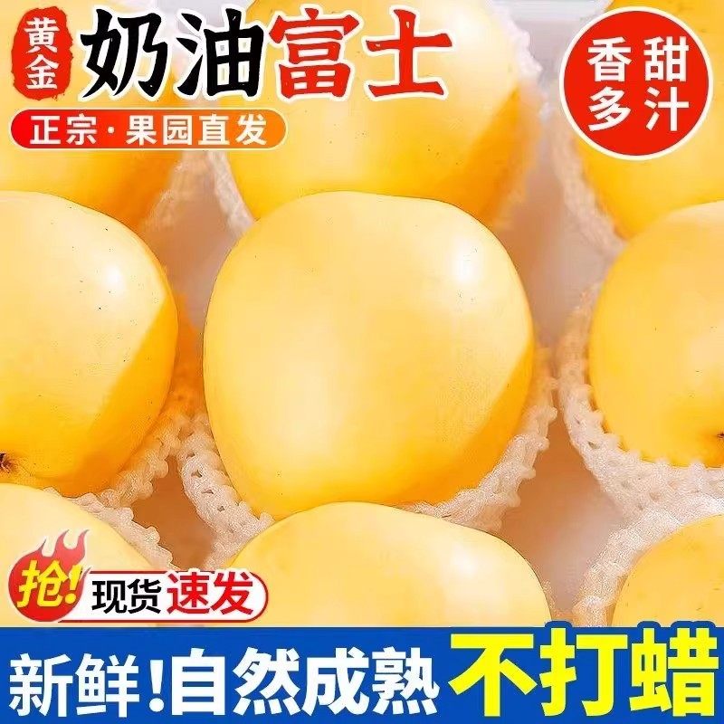 山东黄金奶油富士苹果当季正宗烟台脆甜奶油苹果新鲜水果整箱vc6,水产肉类/新鲜蔬果/熟食,苹果,淘宝优惠券,粉丝福利购,淘宝优惠卷