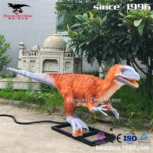 仿真腔骨龙游乐园商场景区流量大咖仿真恐龙动植物海洋生物.