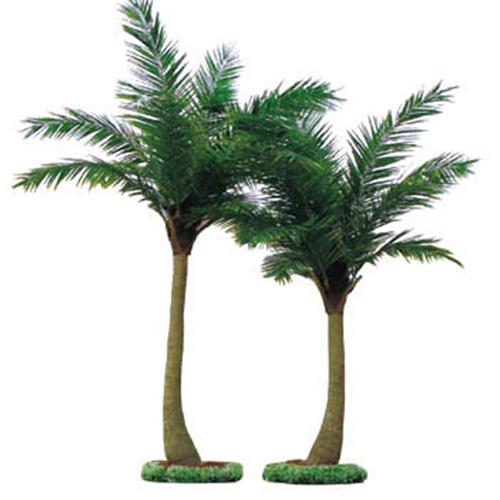 来图带灯椰子树仿真椰子树信号树水上乐园大型玻璃钢人造假树叶