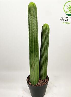 仿真仙人掌仙人棒仙人柱花盆栽假花套装组合家居装饰道具摆件