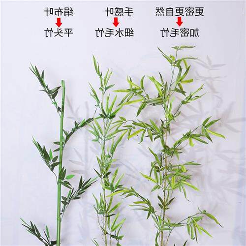 仿真竹子商场室外植物人造景室内仿真绿植