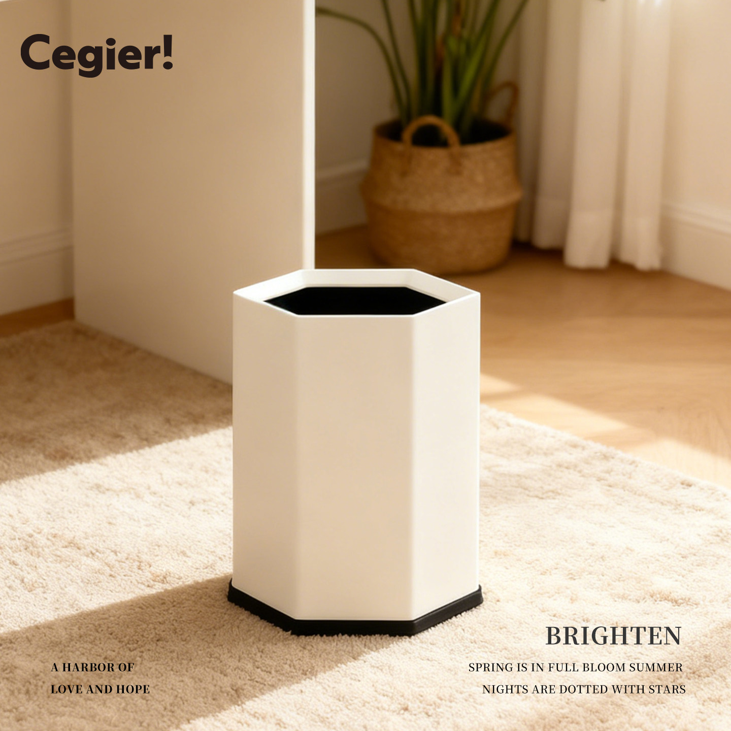 Cegier.垃圾桶家用极简无盖六边形双层直投客厅卫生间创意卧室,家庭/个人清洁工具,垃圾桶,淘宝优惠券,粉丝福利购,淘宝优惠卷