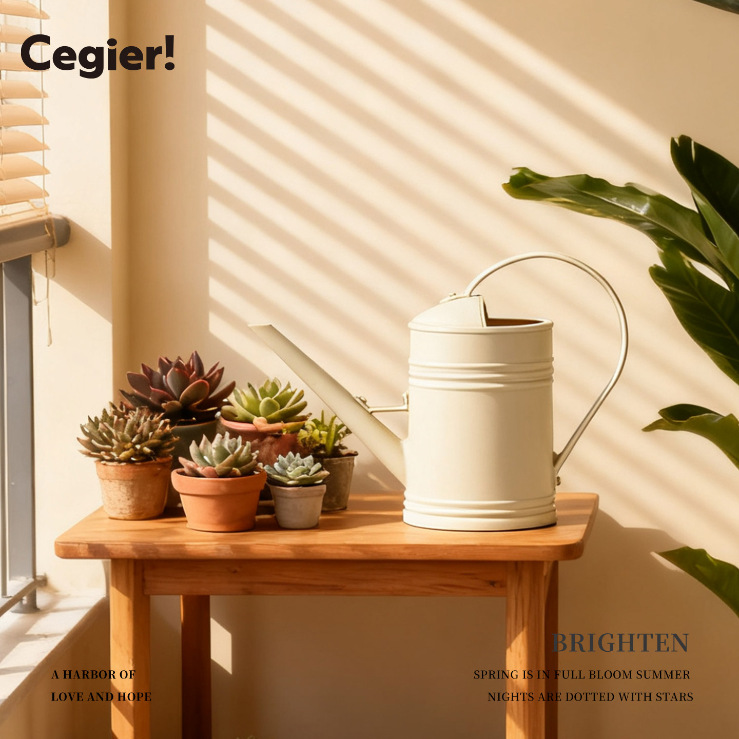Cegier.淋花壶加厚洒水壶花洒壶