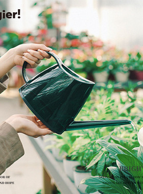 Cegier德国工艺洒水壶家用浇花壶花洒壶园艺浇花壶加厚长嘴 |寅潇