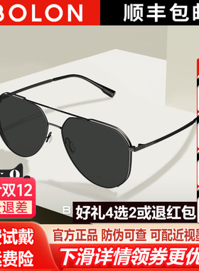 暴龙眼镜驾驶偏光防紫外线太阳镜男款开车专用墨镜官方正品BL8100