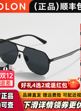 暴龙眼镜驾驶偏光防紫外线太阳镜男款开车专用墨镜官方正品BL8115