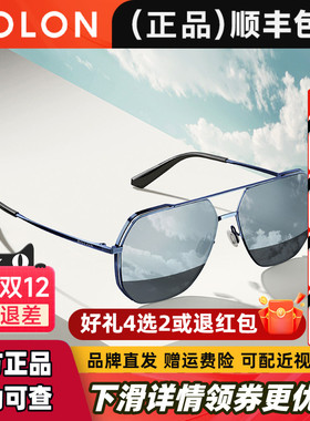 BOLON暴龙眼镜偏光太阳镜飞行员框开车护眼驾驶专用墨镜男BL8068