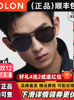 BOLON暴龙太阳眼镜2025偏光防紫外线飞行员开车驾驶墨镜男BL8223