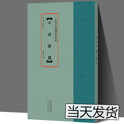中国古代简牍书法精粹 武威汉简 毛笔书法字帖临摹赏析汉简字帖简牍书法研究书法篆刻艺术古代简牍书法书籍 河南美术出版社