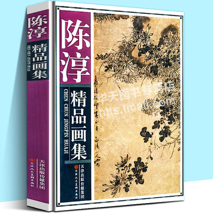 精装正版 陈淳精品画集 没骨花鸟中国名家历代人物作品集画册菊石花卉花草山石云水墨书法工笔花鸟水彩绘画技法临摹书籍 天津人美