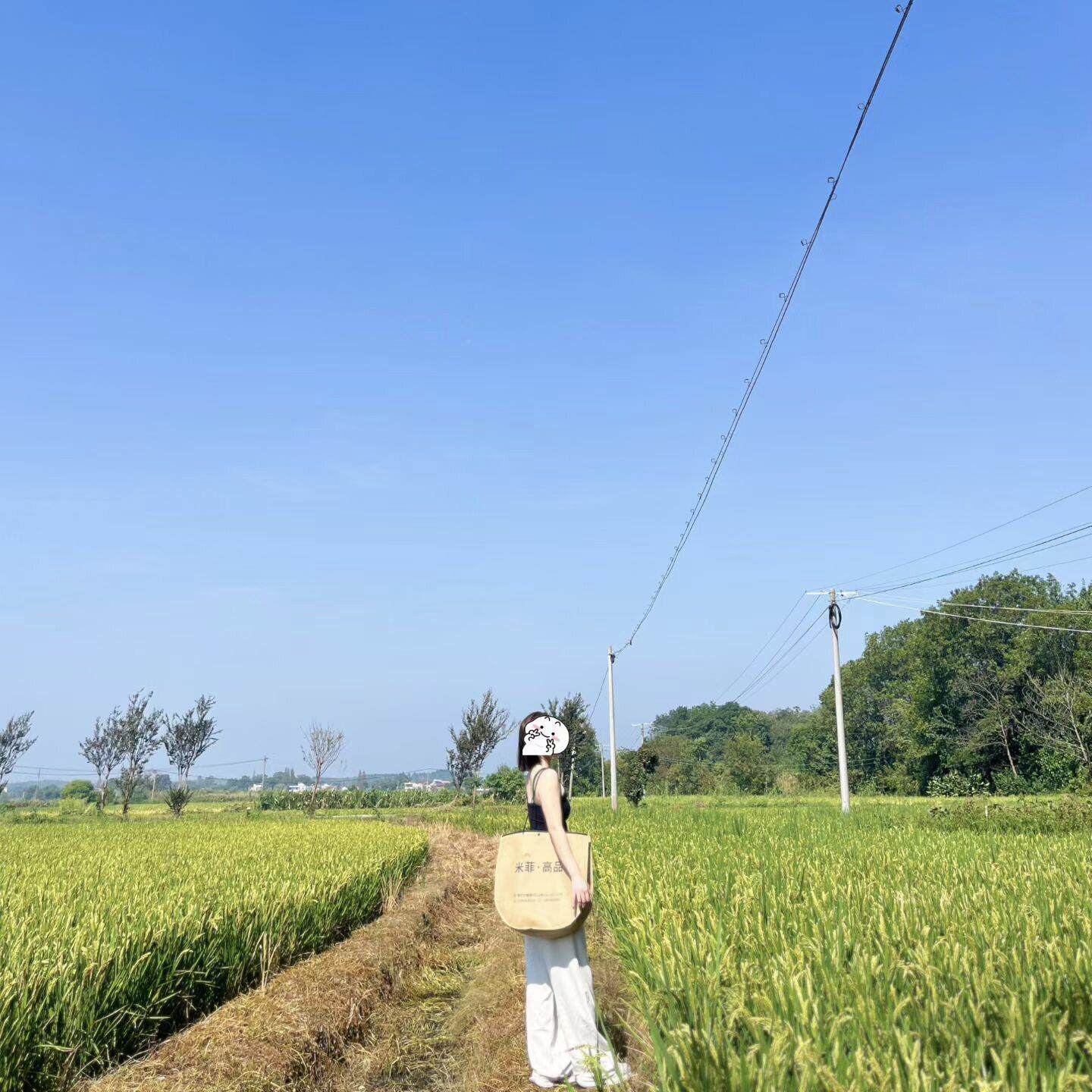 物无纺布手提袋装定PMN制环保大号女装童服店暗扣抽装绳购家纺包