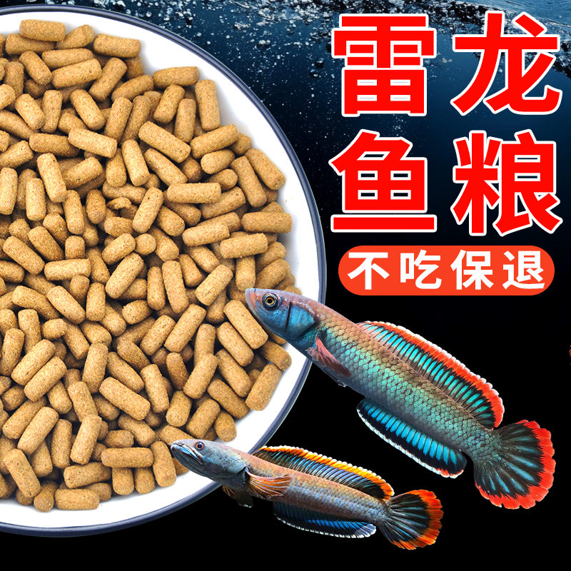 雷龙鱼饲料银龙鱼专用鱼饲料红龙鱼金龙鱼食大颗粒热带鱼上浮鱼粮