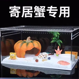 寄居蟹饲养箱套装套餐亚克力饲养盒沙蟹饲养缸造景全套生态缸箱