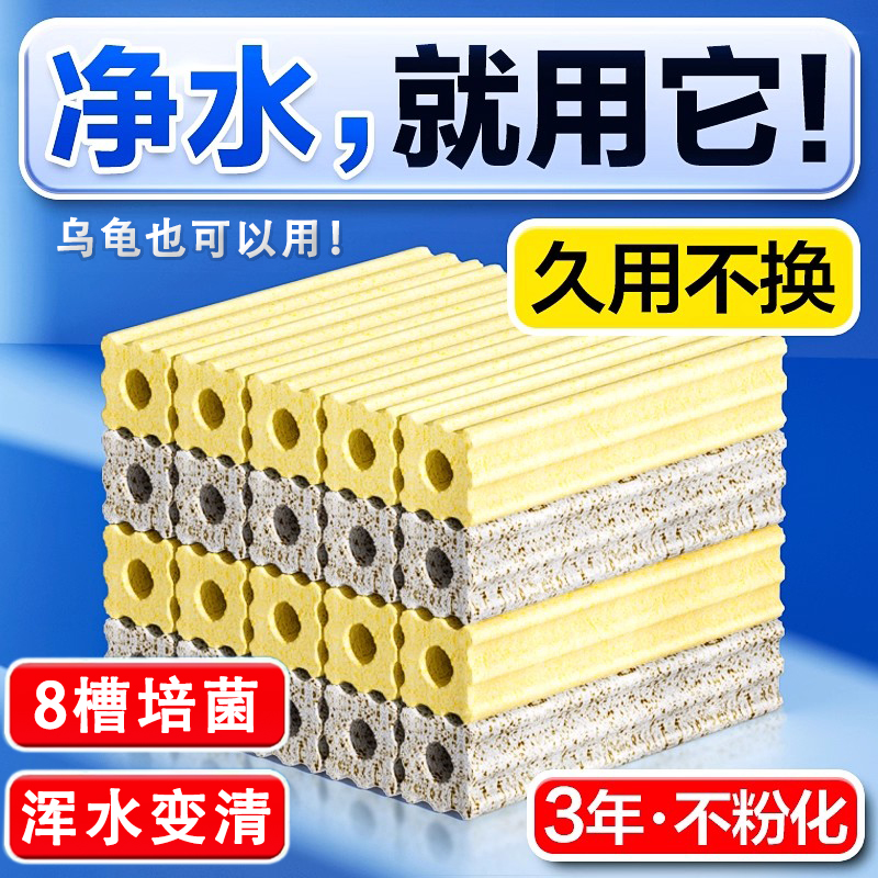 【1000w人选择了】加硬8D细菌屋