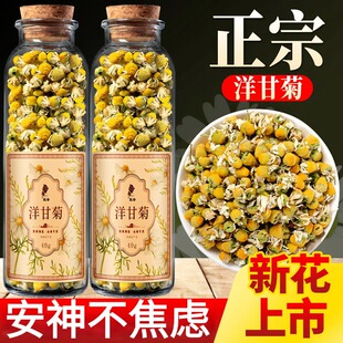 特级洋甘菊中药材菊花干枸杞金银花茶胎菊泡茶专用女养生茶包正品
