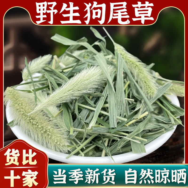 狗尾巴草中药材官方旗舰店新鲜中药材草狗尾草九尾草干草中草药