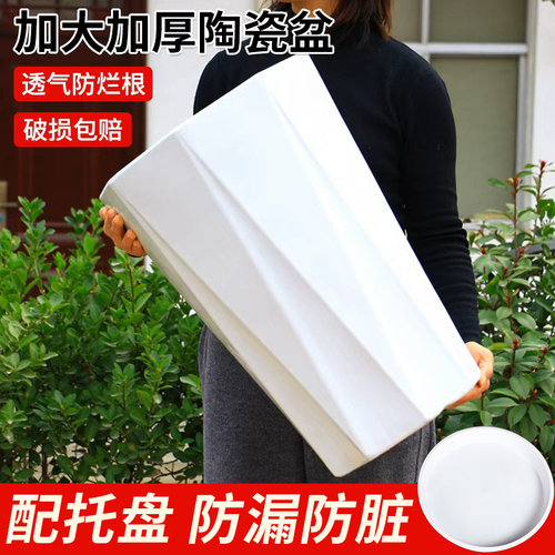 陶瓷花盆简约纯白大号特大号高级