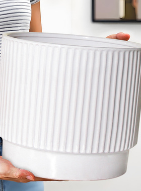 花盆陶瓷家用白色简约客厅蝴蝶兰专用轻奢高级大号口径虎皮兰盆栽