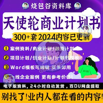 天使轮A轮商业计划书项目创业融资策划方案成功案例PDF资料BP